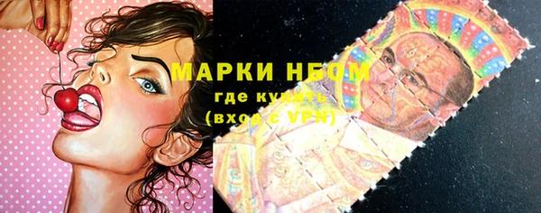 стаф Баксан