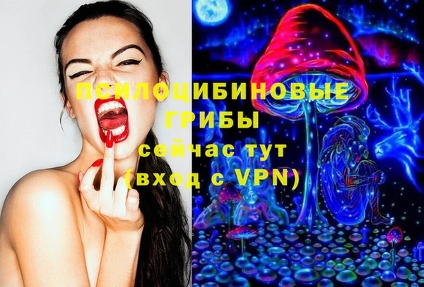 стаф Баксан