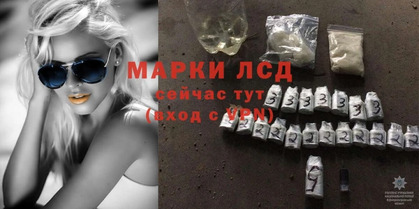 стаф Баксан